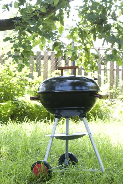 Barbecue — Stock Photo, Image