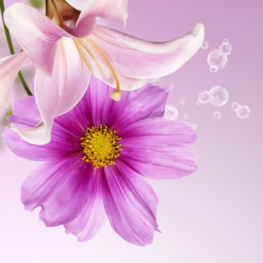 güzel arka plan çiçek