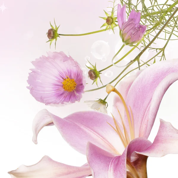 Çiçek yaz kartı — Stok fotoğraf
