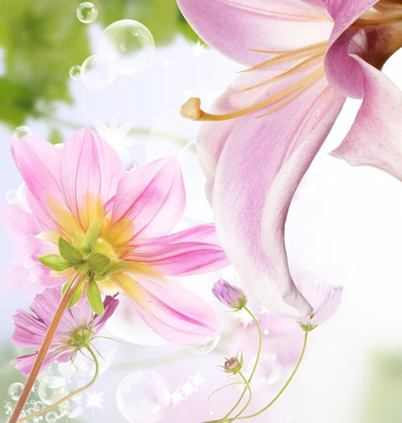 Flor bonito cartão de fundo — Fotografia de Stock