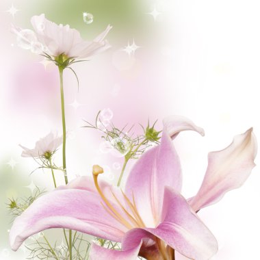 doğa güzel çiçek arka plan