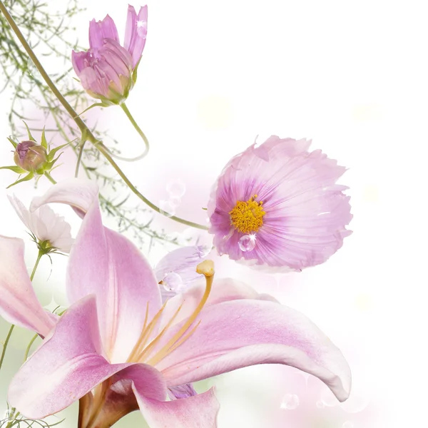 Natura piękny kwiat tło — Zdjęcie stockowe