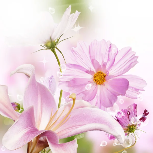 Příroda krásné květinové pozadí — Stock fotografie