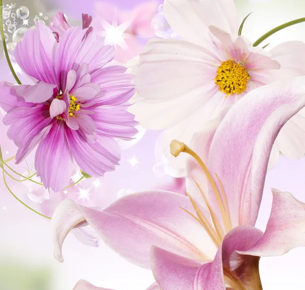 Garden lily and other flowers — Stock Photo, Image