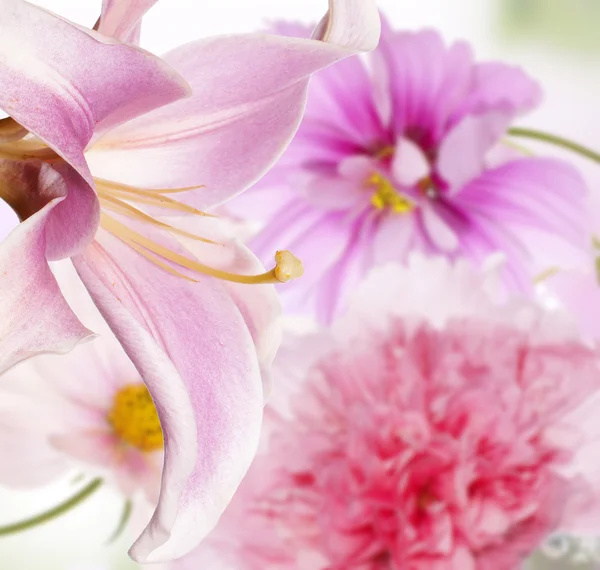 Tuin lily en andere bloemen — Stockfoto