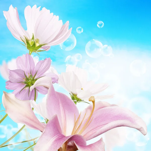 Trädgård lily och andra blommor — Stockfoto