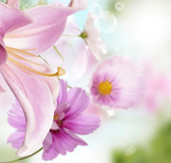 Giglio da giardino e altri fiori — Foto Stock