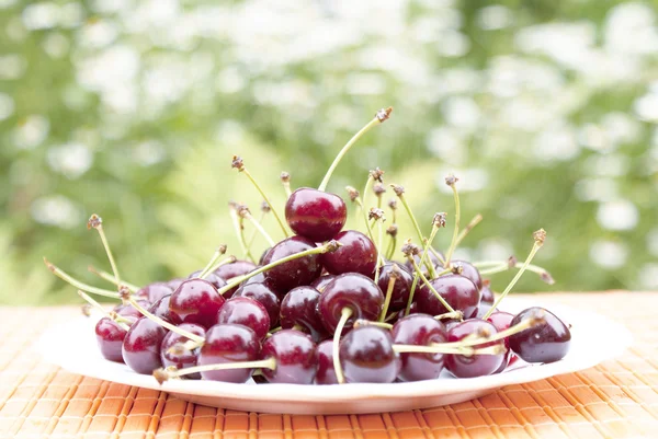 Cereza de jardín — Foto de Stock