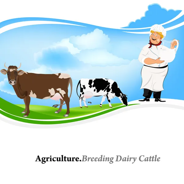 Agriculture.Breeding tejtermelő Cattle.Vector háttér — Stock Vector