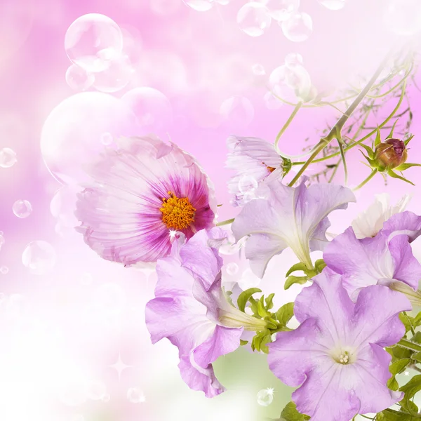 Beautiful flowers spring garden background — Stock Photo, Image