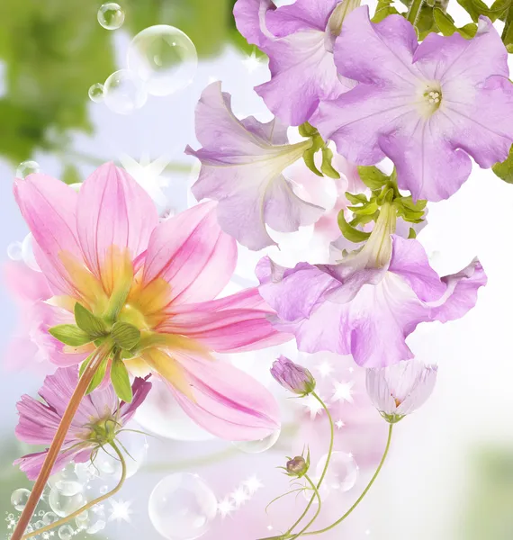 Beautiful flowers spring garden background — Stock Photo, Image