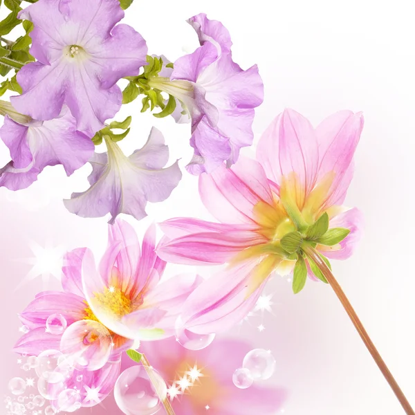 Beautiful flowers spring garden background — Stock Photo, Image