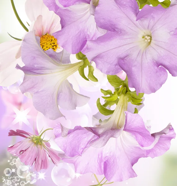 Bei fiori primavera giardino sfondo — Foto Stock