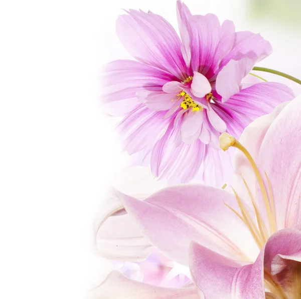 decoratieve Kerstmis samenstelling geïsoleerd op wit