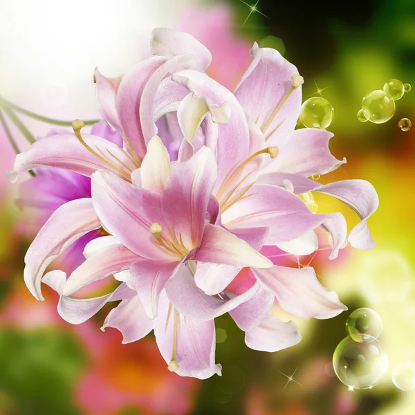 Exotisk blomma card.orchid — Stockfoto