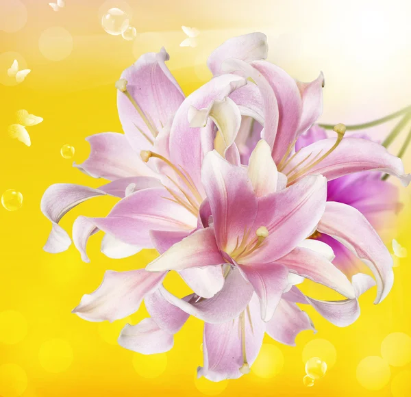 Tarjeta de flor exótica.Orquídea —  Fotos de Stock
