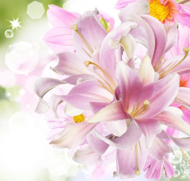 güzel çiçek egzotik lily.floral kartı