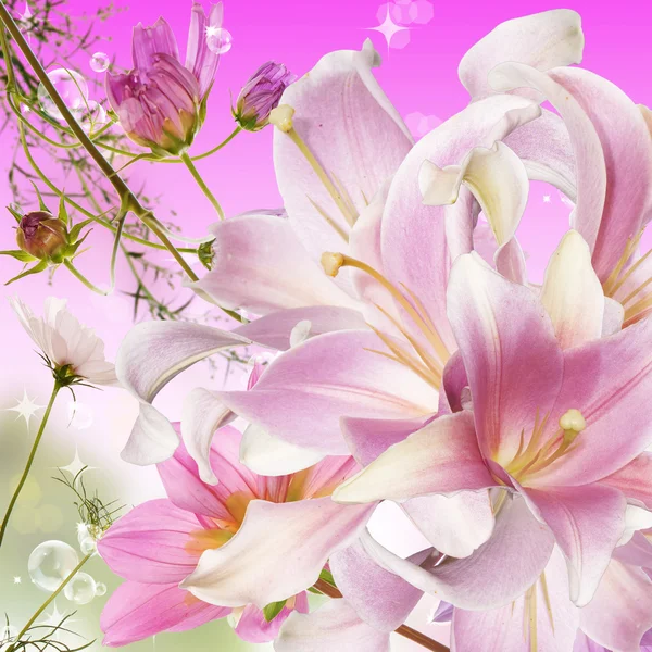The beautiful flower exotic lily.Floral card
