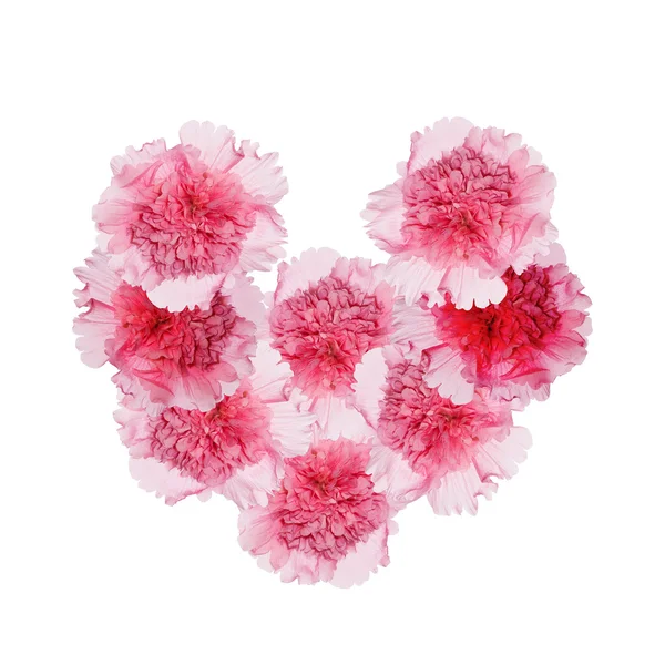 白地にバラ花弁の美しい花の心 — ストック写真