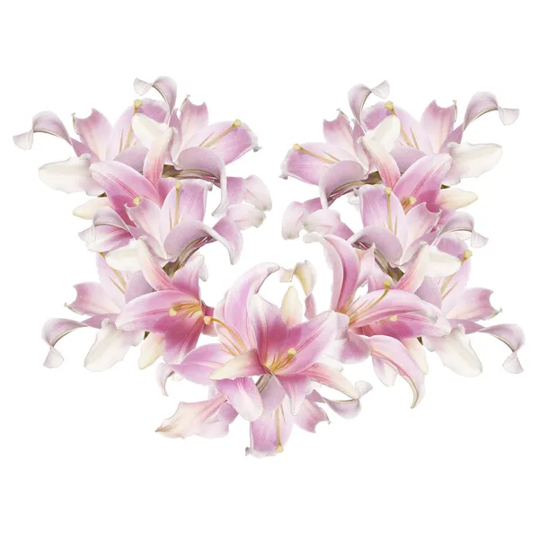 花びら花エキゾチックなピンクのユリの抽象的な愛の心 — ストック写真