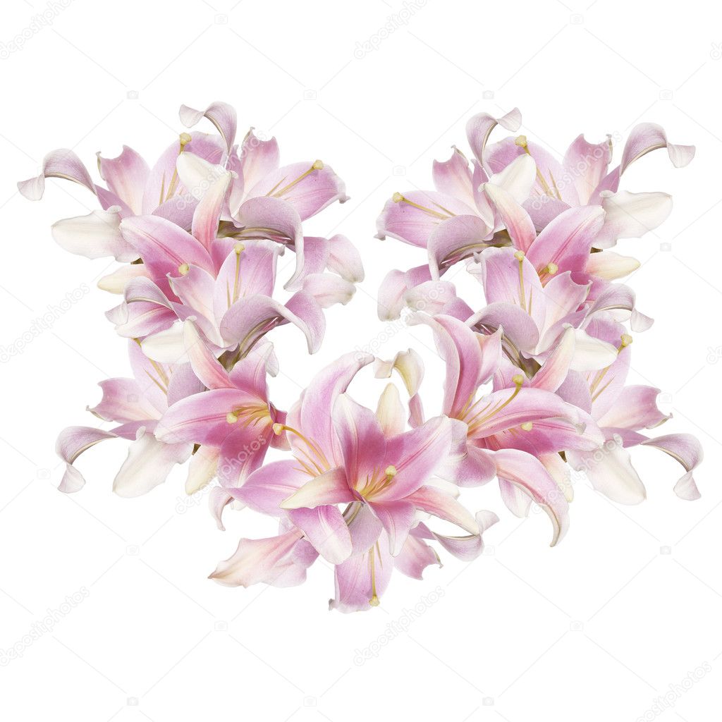 Abstract love Heart of the petals flowers exotic pink lily