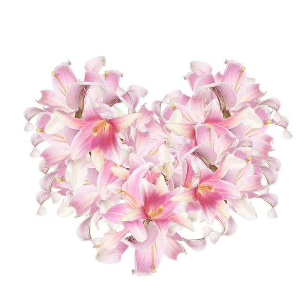 The beautiful abstract flowers Heart of the petals pink lily. — Stock Photo, Image