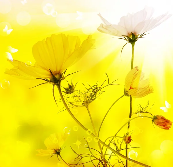 Piękny kwiat kwiatowy karty — Zdjęcie stockowe