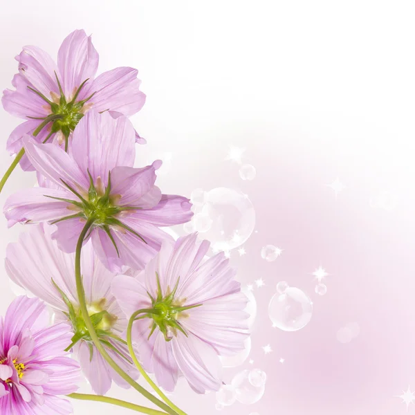 Flower beautiful card — Stock Photo, Image