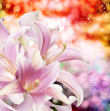pembe egzotik lily tebrik kartı