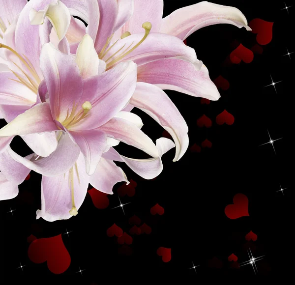 Διακοπές όμορφη κάρτα με ροζ lily.valentine ημέρα — Φωτογραφία Αρχείου