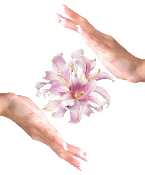 Mãos femininas bonitas com flores rosa Lily.Spa exótico — Fotografia de Stock