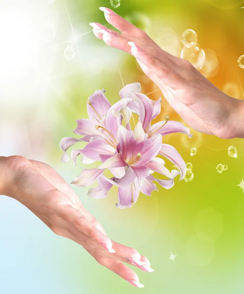 Beautiful Female Hands with Flowers Pink Exotic Lily on abstract summer nature — Stock Photo, Image