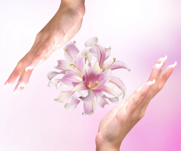 Mooie vrouwelijke handen met bloemen pink exotische lily.spa — Stockfoto