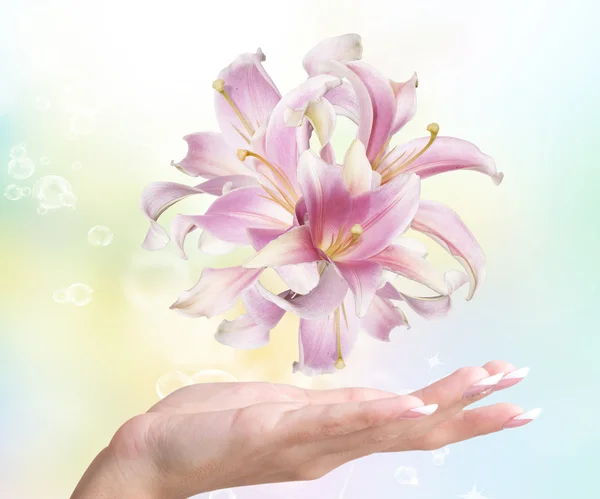Blommor rosa lily på en kvinnlig hand.spa salong — Stockfoto