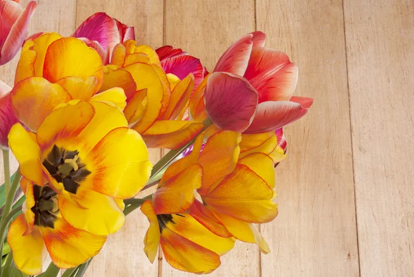 Easter.Holiday Spring.Bouquet Jardim Flor Tulipa — Fotografia de Stock