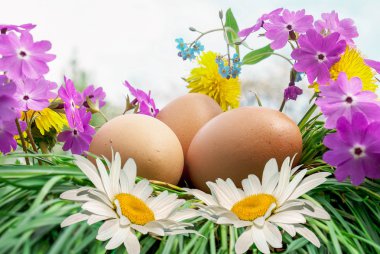 Easter.Eggs ve bahar flower.spring tatil
