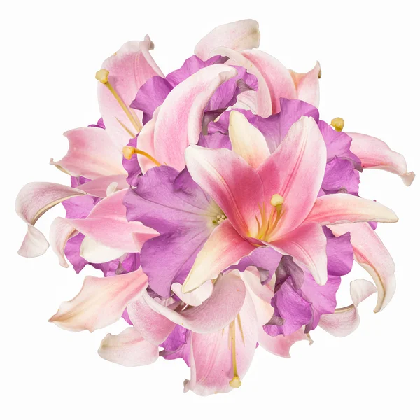 Krásné abstraktní kytice růžová lilie na bílé — Stock fotografie