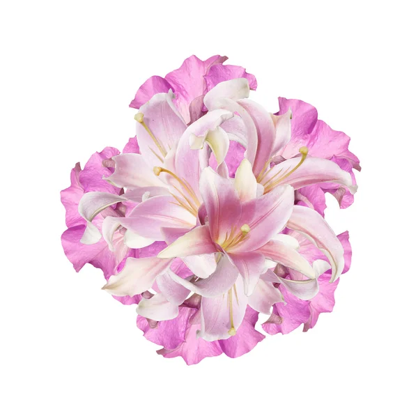 Schöne abstrakte Bouquet rosa Lilie auf einem weißen — Stockfoto