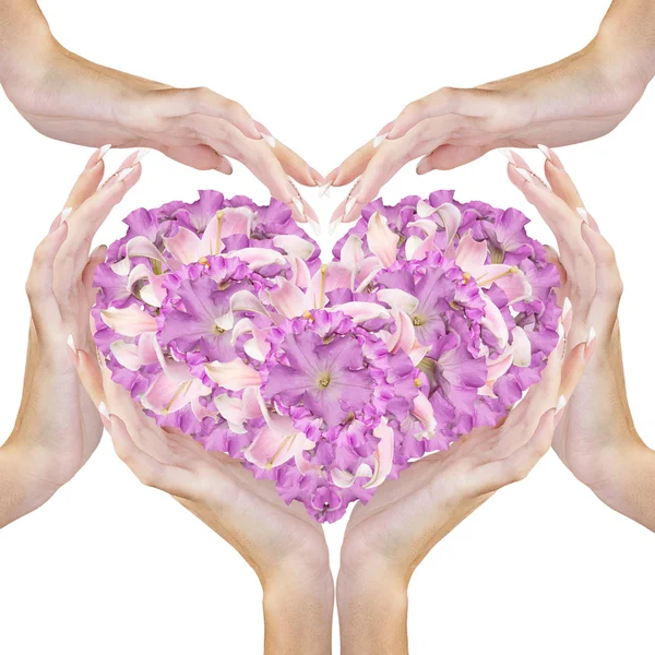Flores do coração em mãos femininas.Love concept.Beautiful abstrato buquê rosa Lily — Fotografia de Stock