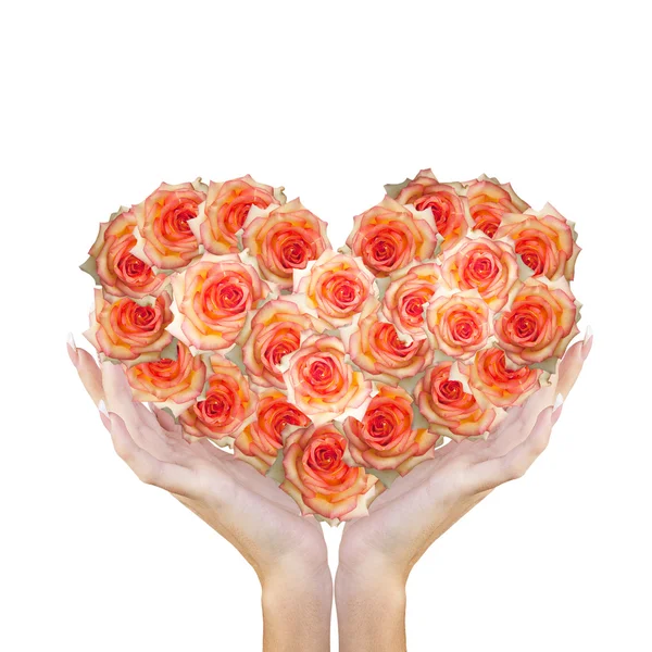 Cuore Fiore Rose nelle mani della donna.Amore concettuale.Bellissimo Bouquet astratto Rose — Foto Stock