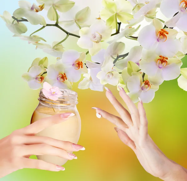 Natuurlijke bloem crème voor de vrouw handen — Stockfoto