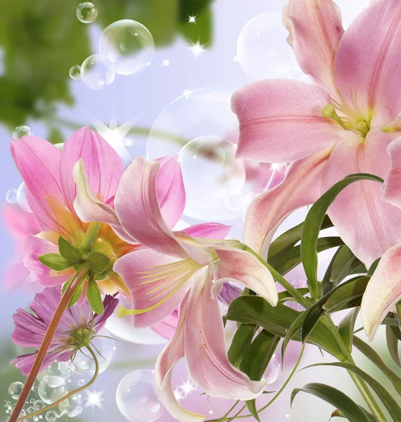 Lily.Floral background — Stock Photo, Image