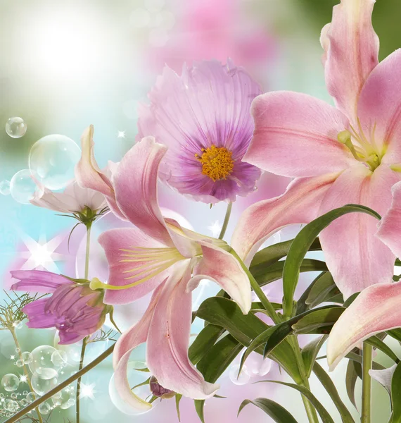 Lily.floraler Hintergrund — Stockfoto