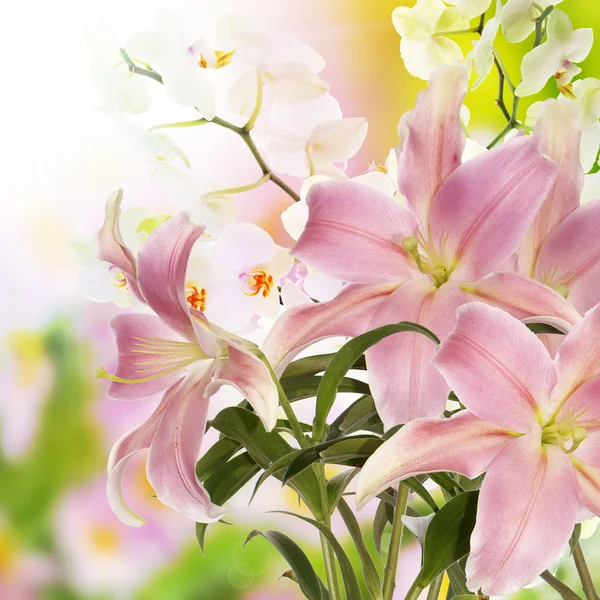 Tle japońskich kwiatów — Zdjęcie stockowe