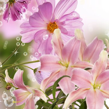 çiçek Japon arka plan