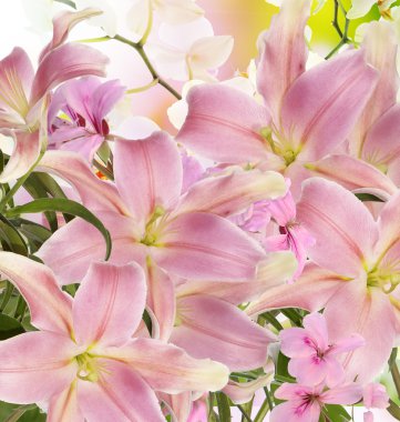 çiçek Japon arka plan