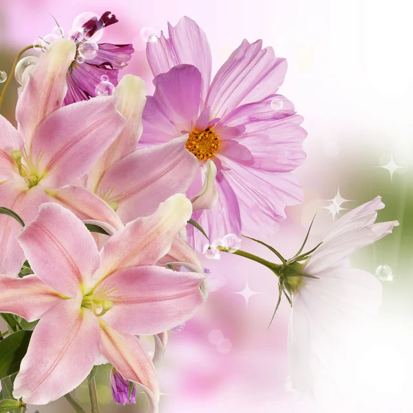 Floral Japanese Background — Stock Photo, Image
