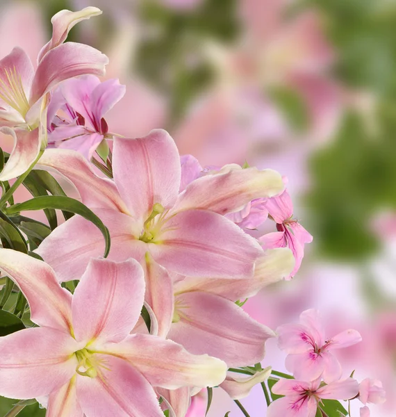Tle japońskich kwiatów — Zdjęcie stockowe