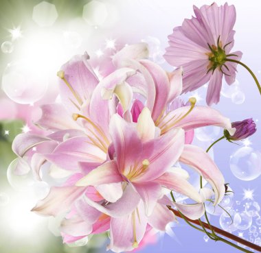 Japon çiçek arka plan