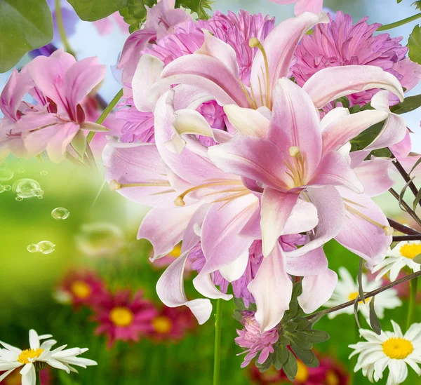 Blumen schöner Hintergrund — Stockfoto